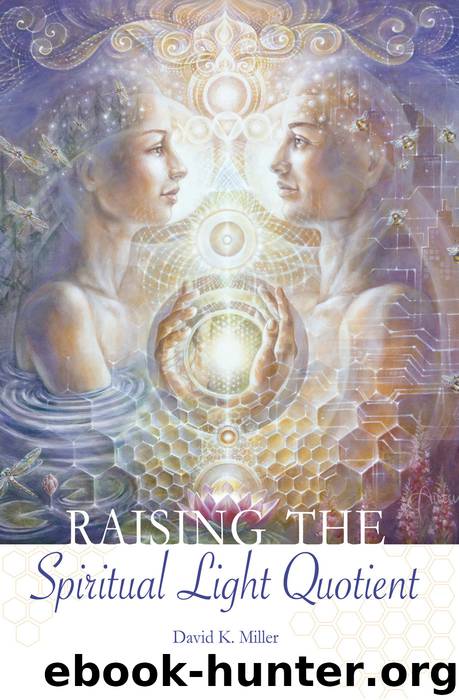 Raising the Spiritual Light Quotient by Miller David K