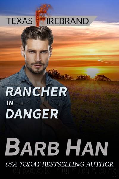 Rancher in Danger by Barb Han