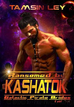 Ransomed by Kashatok (Galactic Pirate Brides Book 2) by Tamsin Ley