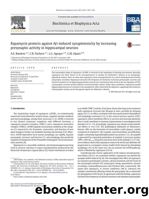 Rapamycin protects against AÎ²-induced synaptotoxicity by increasing presynaptic activity in hippocampal neurons by A.E. Ramírez & C.R. Pacheco & L.G. Aguayo & C.M. Opazo