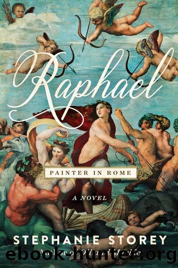 Raphael, Painter in Rome: a Novel by Stephanie Storey