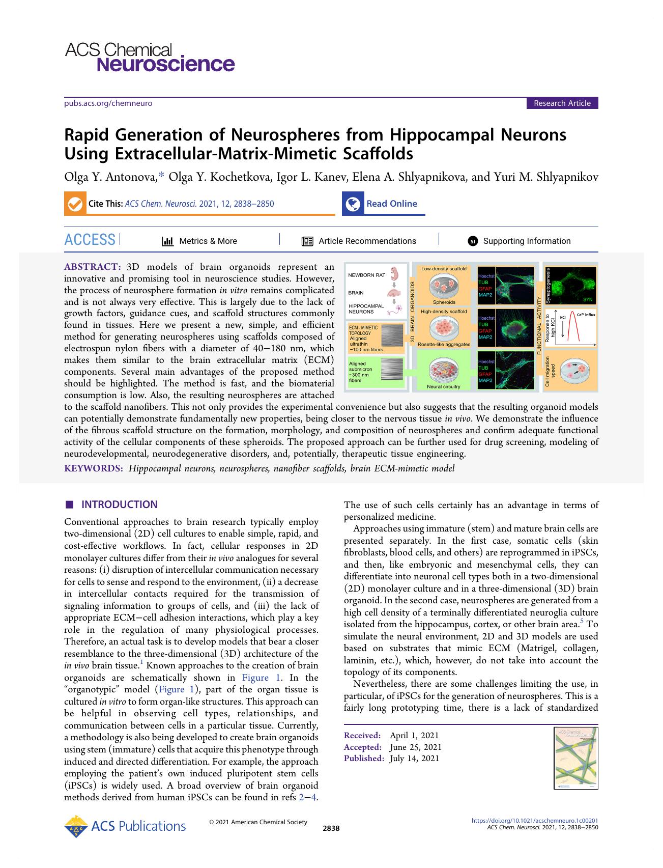 Rapid Generation of Neurospheres from Hippocampal Neurons Using Extracellular-Matrix-Mimetic Scaffolds by Olga Y. Antonova Olga Y. Kochetkova Igor L. Kanev Elena A. Shlyapnikova and Yuri M. Shlyapnikov
