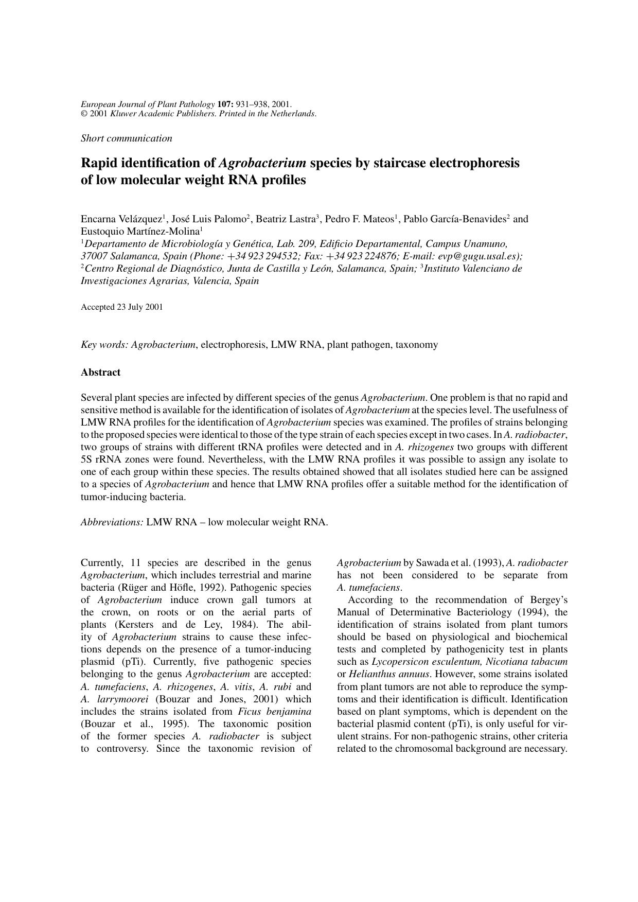 Rapid Identification of Agrobacterium Species By Staircase Electrophoresis of Low Molecular Weight RNA Profiles by Unknown