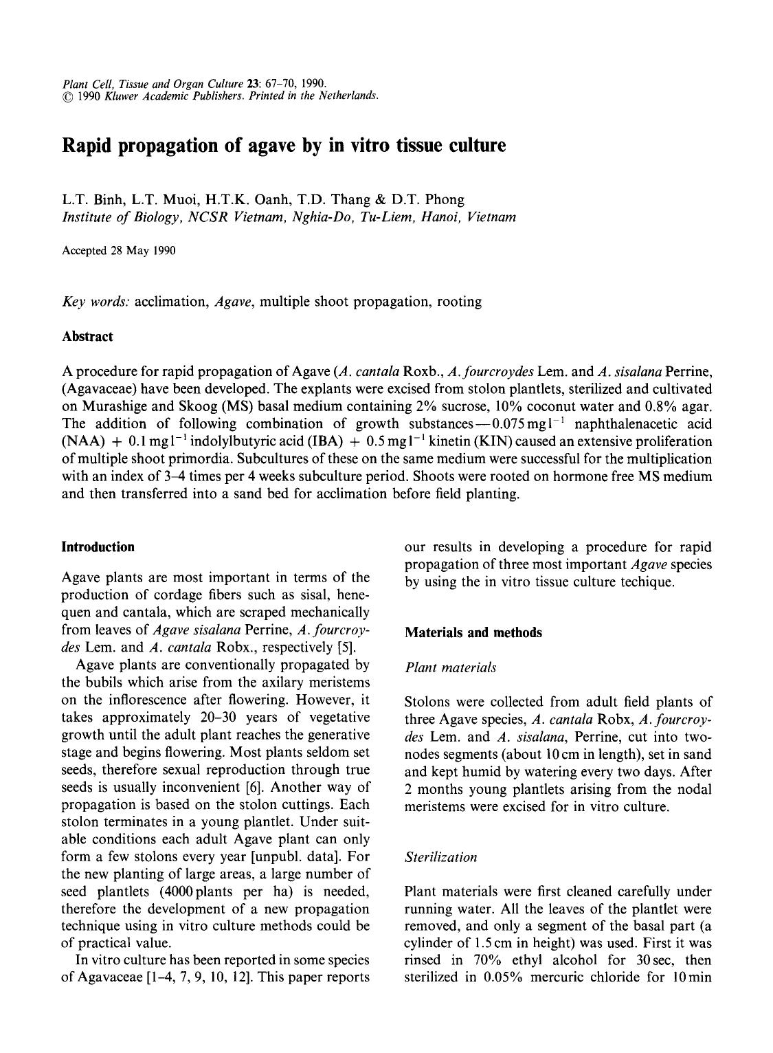 Rapid propagation of agave by in vitro tissue culture by Unknown