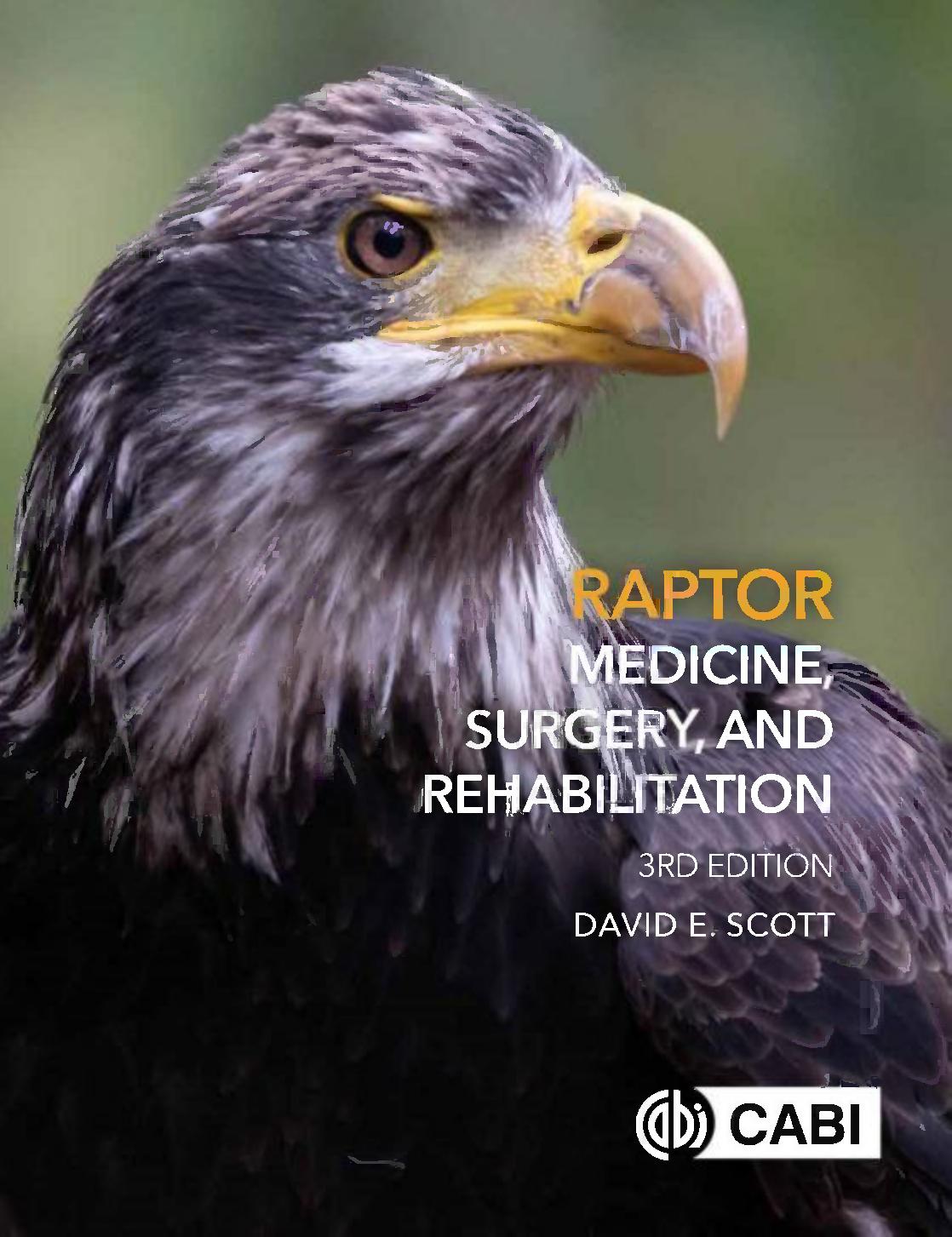 Raptor Medicine, Surgery and Rehabilitation by David Scott