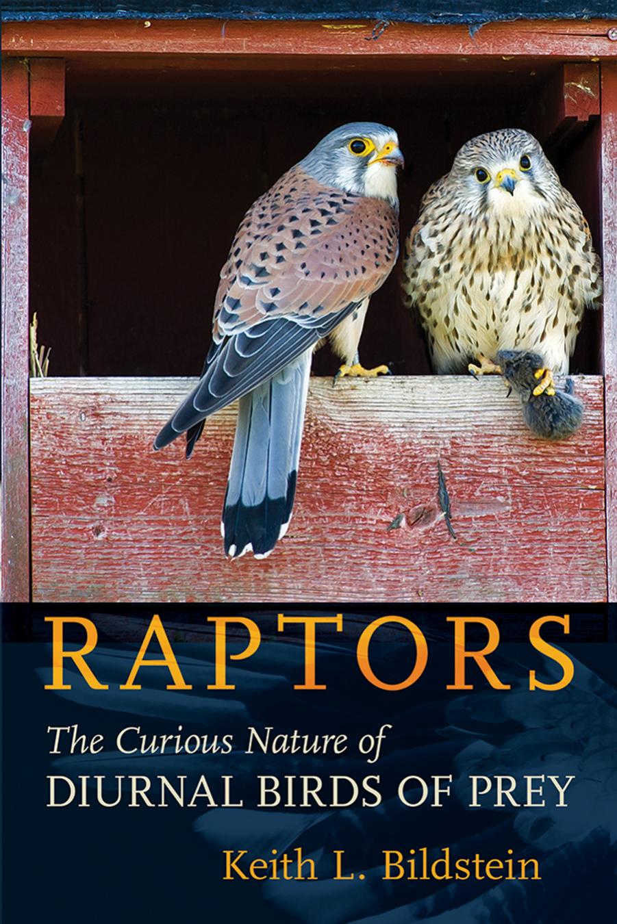 Raptors by Keith L. Bildstein