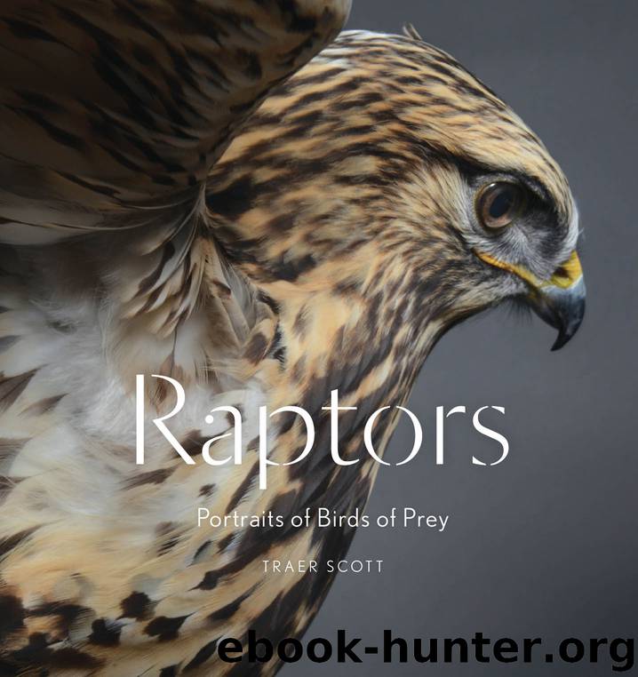 Raptors by Traer Scott