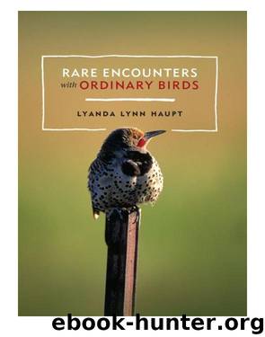 Rare Encounters with Ordinary Birds by Lyanda Haupt