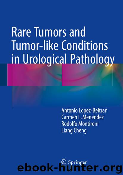 Rare Tumors and Tumor-like Conditions in Urological Pathology by Antonio Lopez-Beltran Carmen L. Menendez Rodolfo Montironi & Liang Cheng