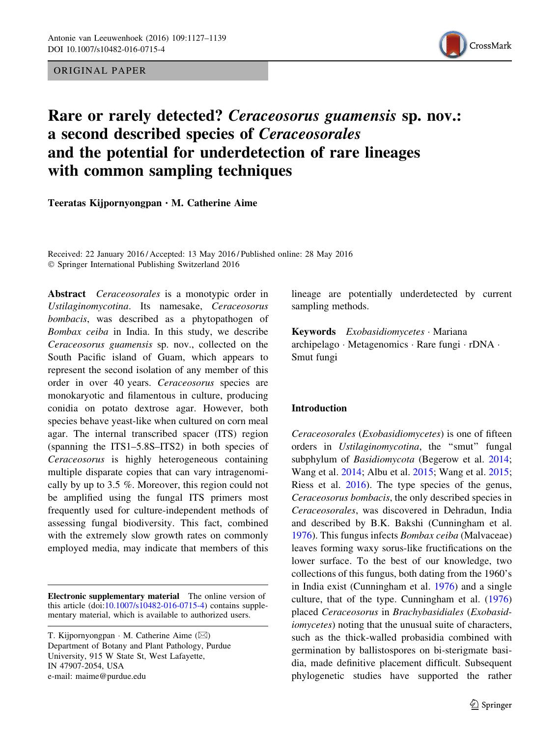 Rare or rarely detected? Ceraceosorus guamensis sp. nov.: a second described species of Ceraceosorales and the potential for underdetection of rare lineages with common sampling techniques by Teeratas Kijpornyongpan & M. Catherine Aime