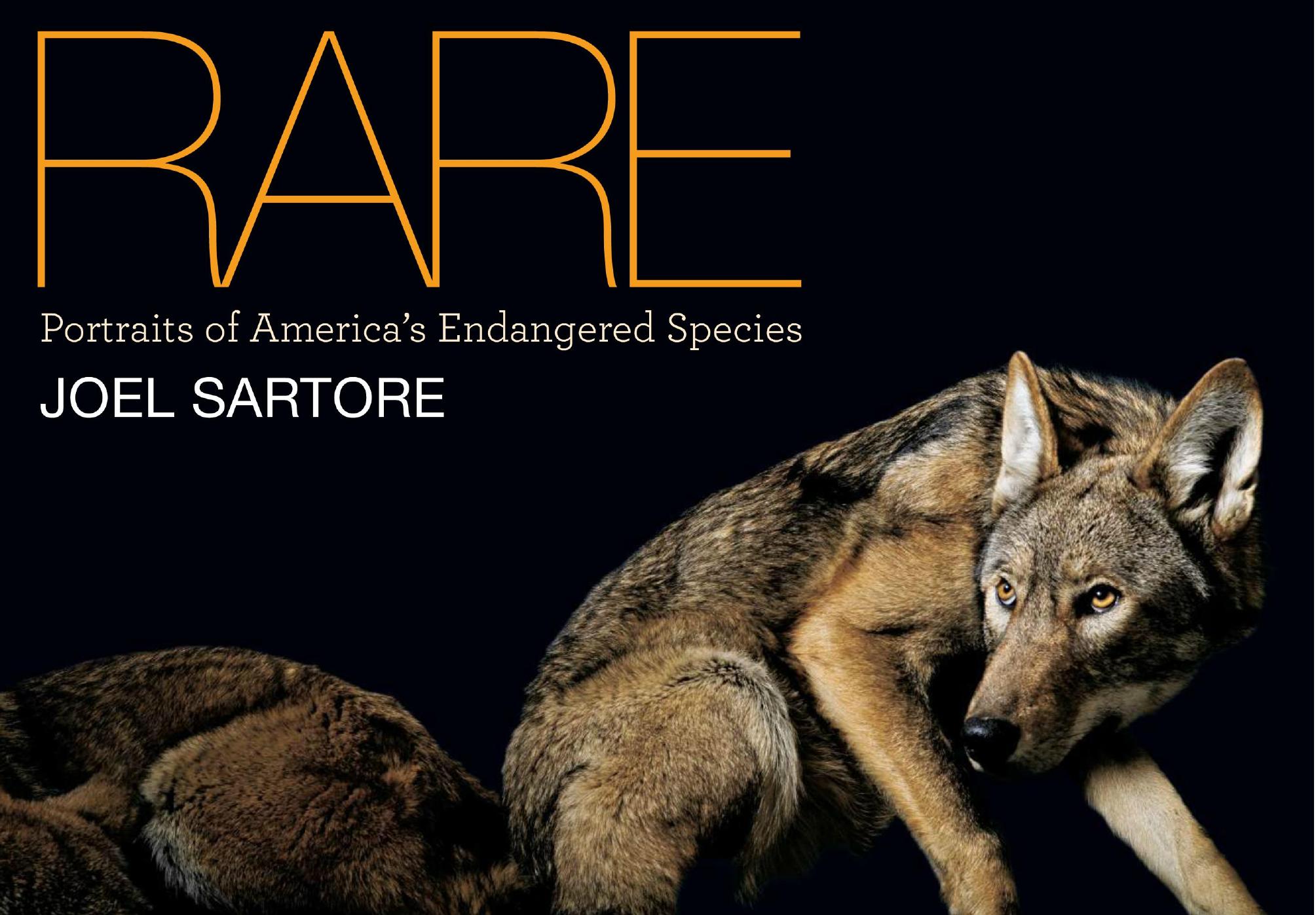 Rare: Portraits of America's Endangered Species by Unknow