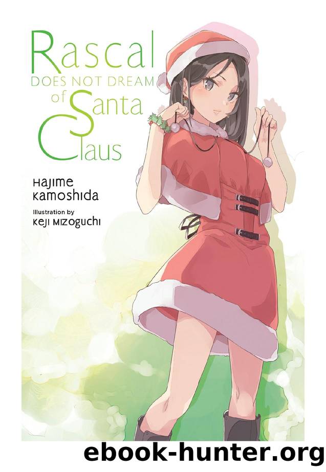 Rascal Does Not Dream of Santa Claus, Vol. 13 by Hajime Kamoshida & Keji Mizoguchi