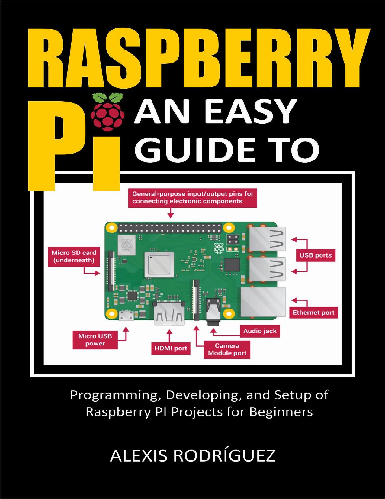 Raspberry Pi: An Easy Guide to Programming, Developing, and Setup of Raspberry PI Projects for Beginners by RODRÍGUEZ ALEXIS