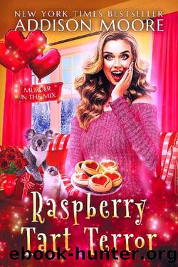 Raspberry Tart Terror : Cozy Mystery (MURDER IN THE MIX Book 30) by Addison Moore