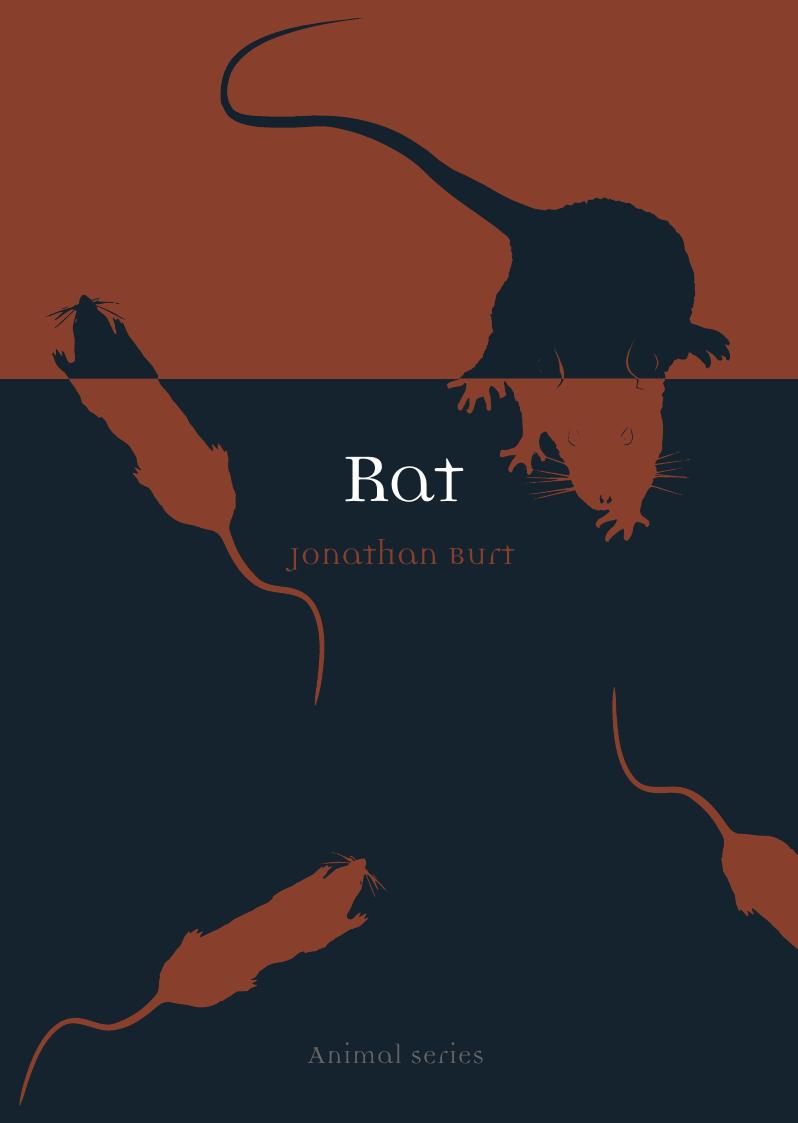 Rat (Animal) by Jonathan Burt