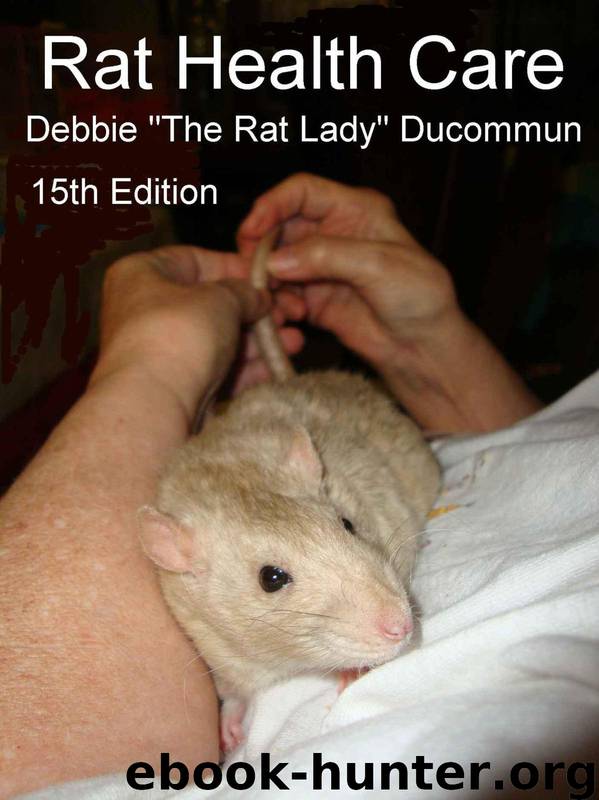 Rat Health Care by Debbie Ducommun