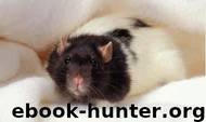 Rat Training by Miriam Fields-Babineau
