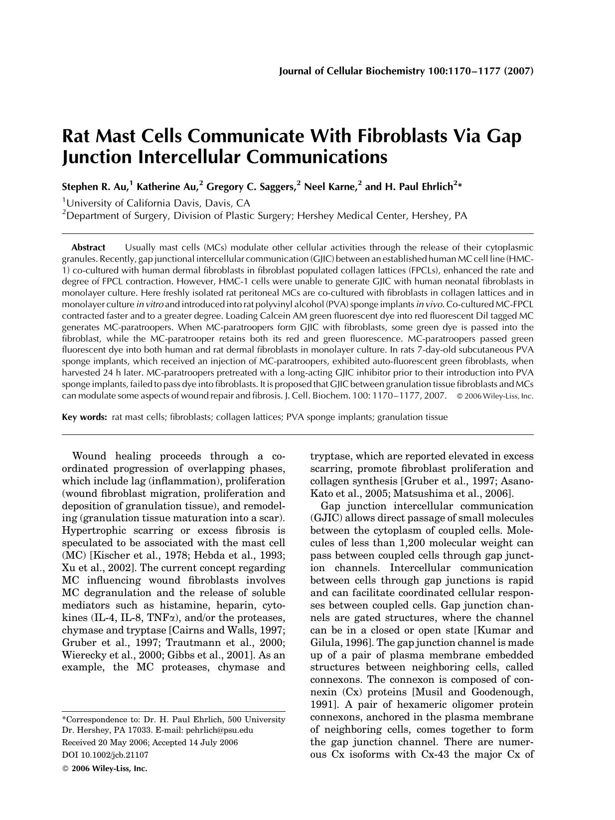 Rat mast cells communicate with fibroblasts via gap junction intercellular communications by Unknown