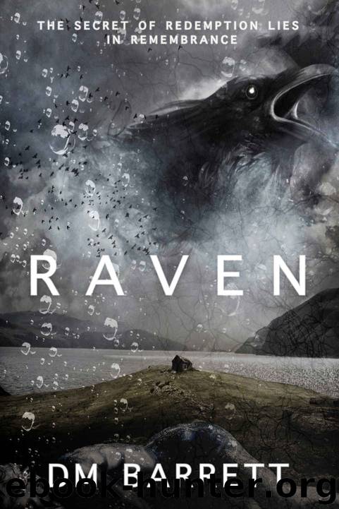 Raven 1 by D M Barrett