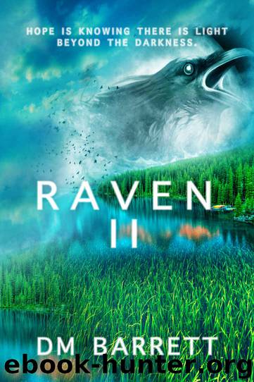 Raven 2 by D M Barrett