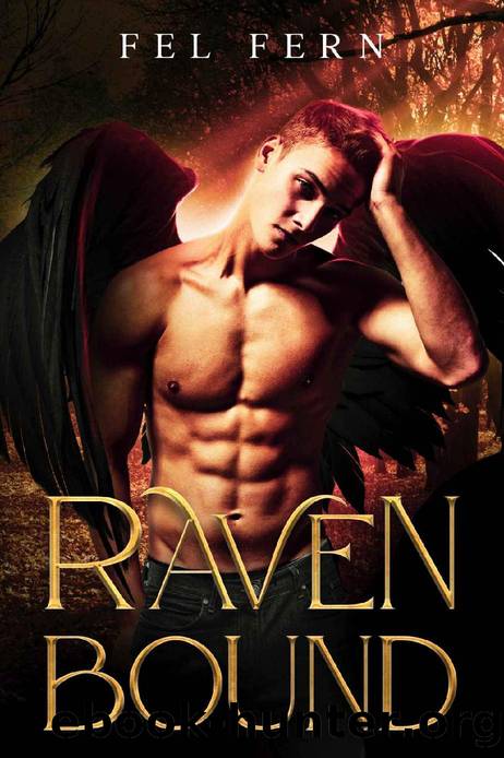 Raven Bound: MM Paranormal Romance (Moon Burrow Ravens Book 2) by Fel Fern