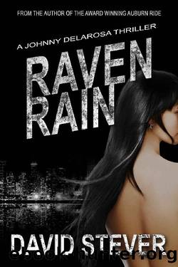 Raven Rain by David Stever