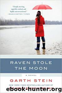 Raven Stole the Moon by Garth Stein