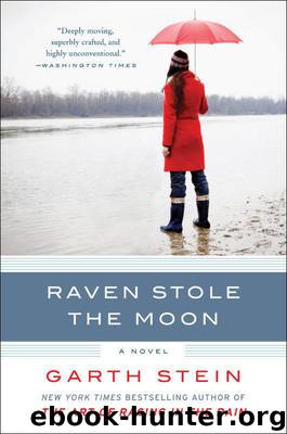 Raven Stole the Moon: A Novel by Stein Garth