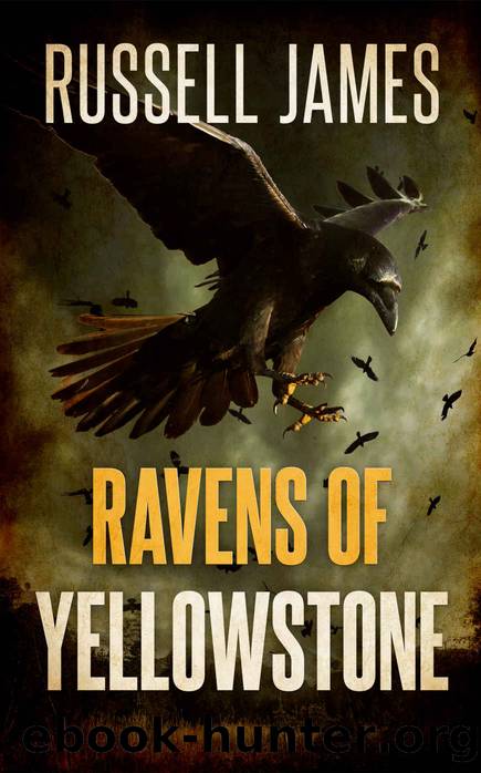 Ravens Of Yellowstone by Russell James