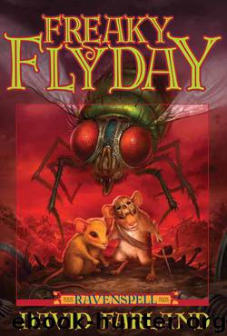 Ravenspell Book 3: Freaky Fly Day by David Farland