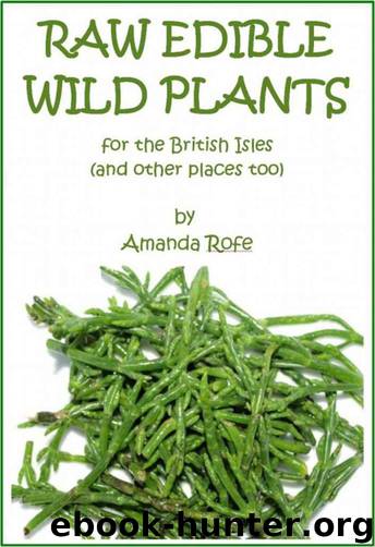 Raw Edible Wild Plants for the British Isles (and other places too) by Rofe Amanda