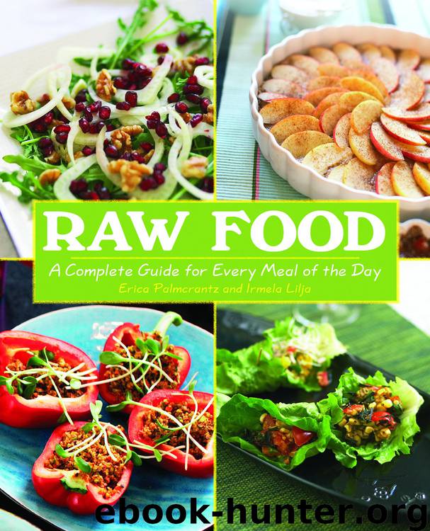 Raw Food by Erica Palmcrantz