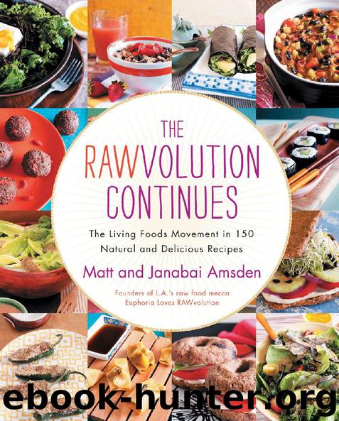 Rawvolution Continues by Matt & Janabai Amsden