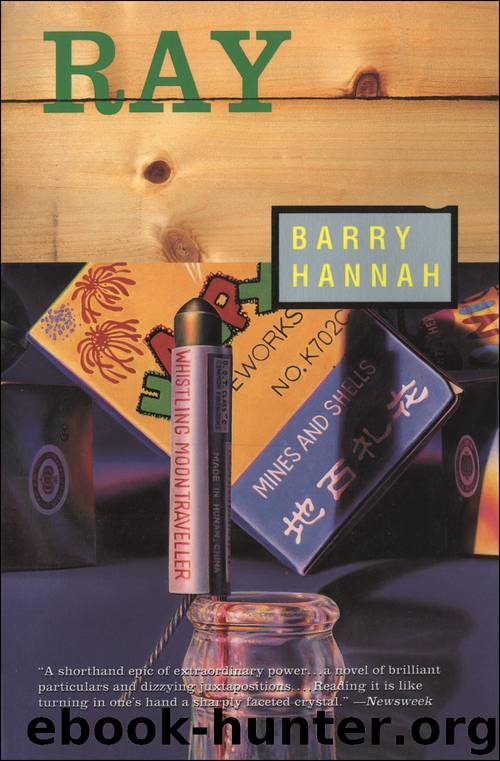 Ray by Barry Hannah