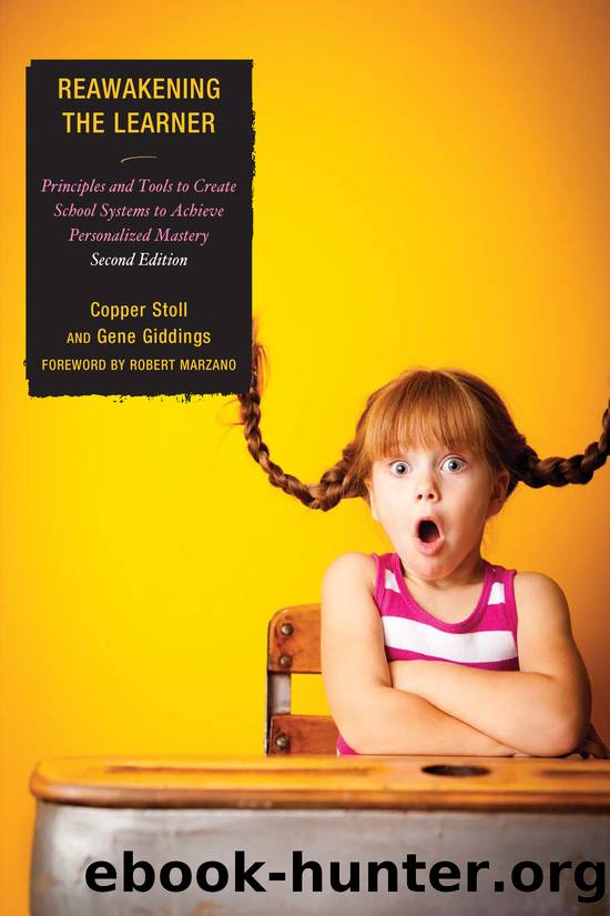 Re-Awakening the Learner by Stoll Copper;Giddings Gene;