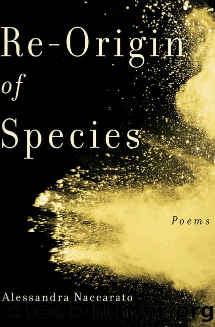 Re-Origin of Species by Alessandra Naccarato