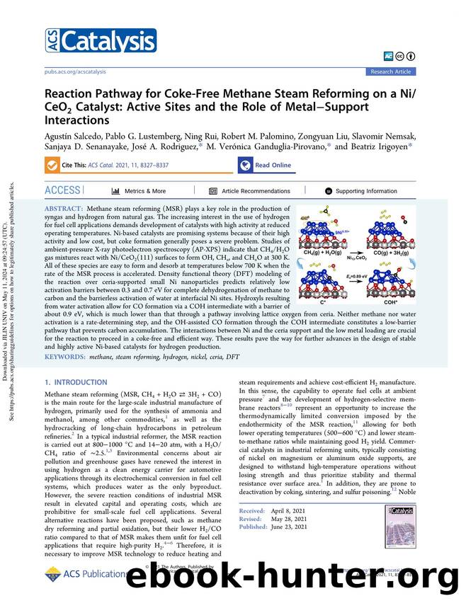 Reaction Pathway for Coke-Free Methane Steam Reforming on a NiCeO2 Catalyst: Active Sites and the Role of MetalâSupport Interactions by unknow