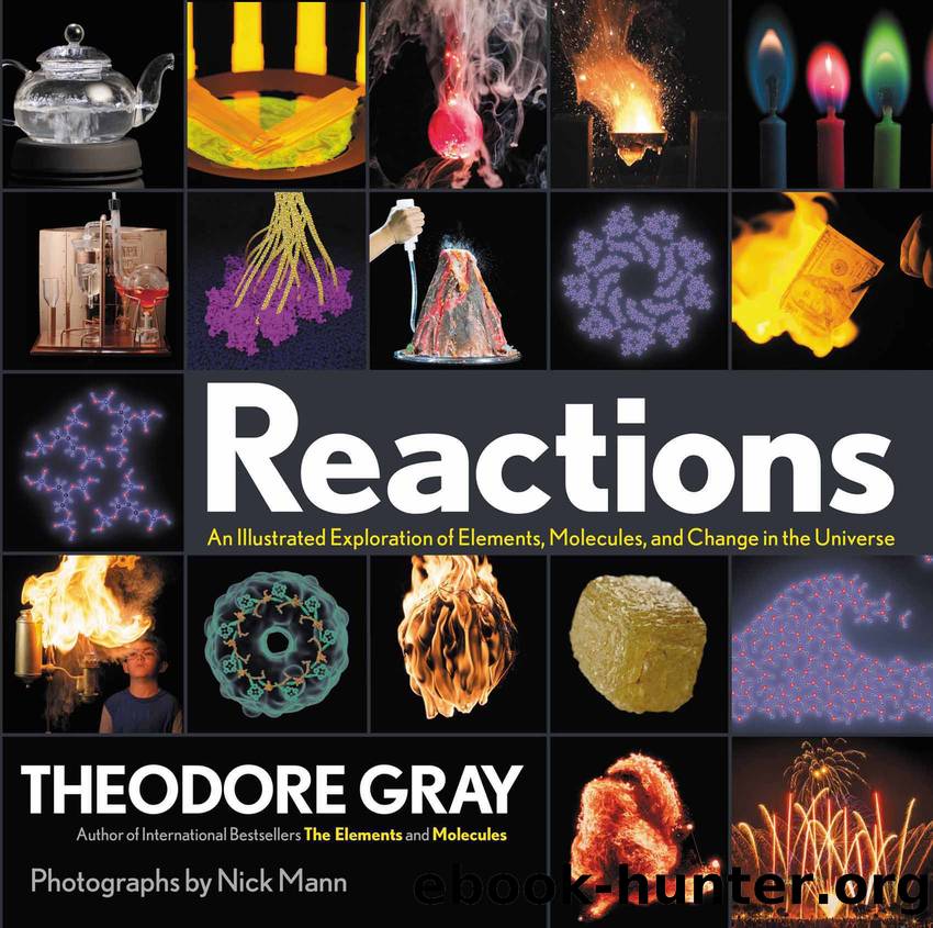 Reactions by Theodore Gray