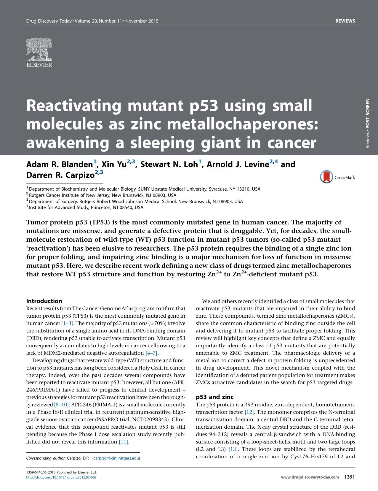 Reactivating mutant p53 using small molecules as zinc metallochaperones: awakening a sleeping giant in cancer by Adam R. Blanden & Xin Yu & Stewart N. Loh & Arnold J. Levine & Darren R. Carpizo