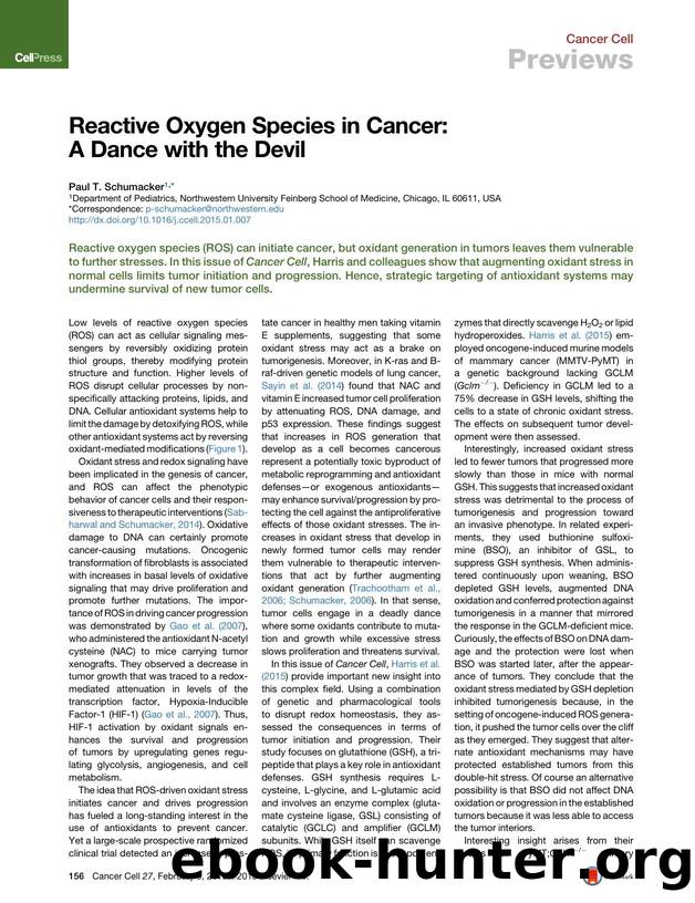 Reactive Oxygen Species in Cancer: A Dance with the Devil by Paul T. Schumacker