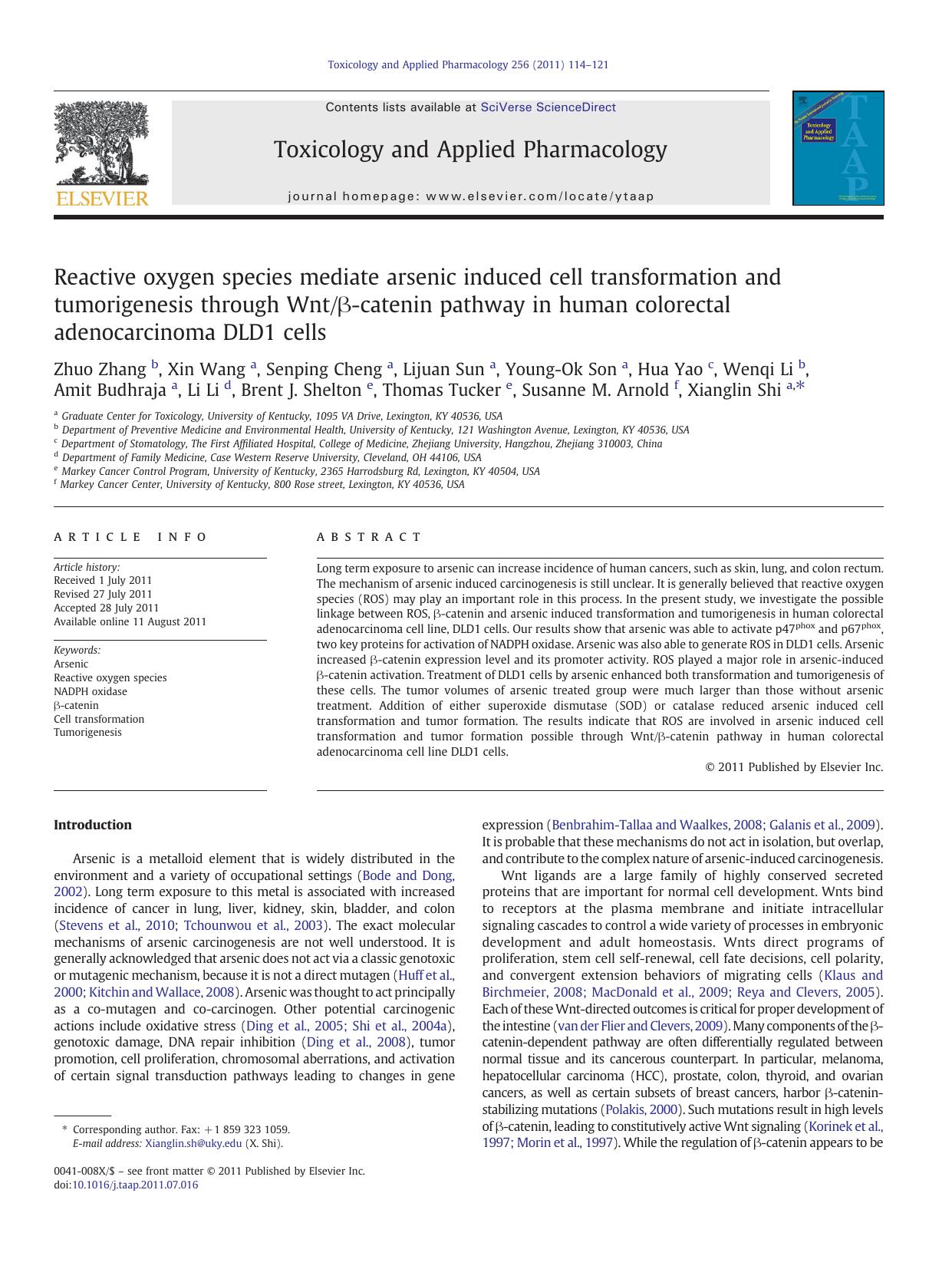 Reactive oxygen species mediate arsenic induced cell transformation and tumorigenesis through WntÎ²-catenin pathway in human colorectal adenocarcinoma DLD1 cells by unknow