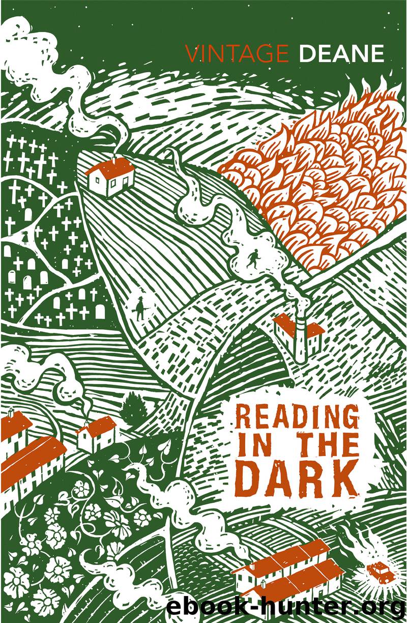 Reading in the Dark by Seamus Deane