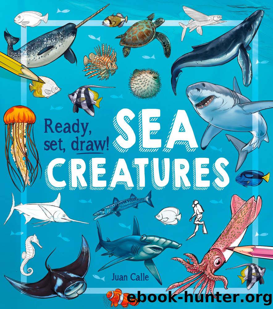 Ready, Set, Draw! Sea Creatures by Juan Calle