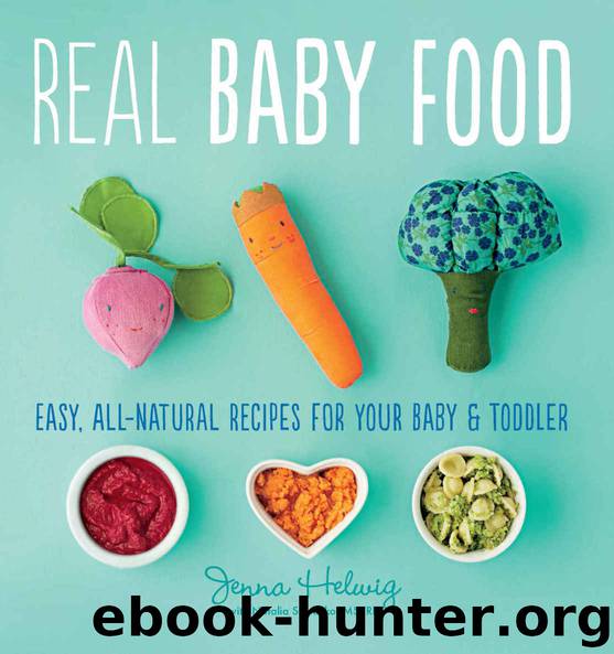 Real Baby Food by Helwig Jenna