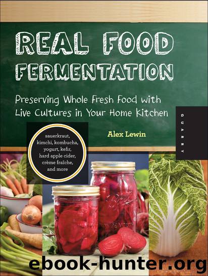 Real Food Fermentation by Alex Lewin