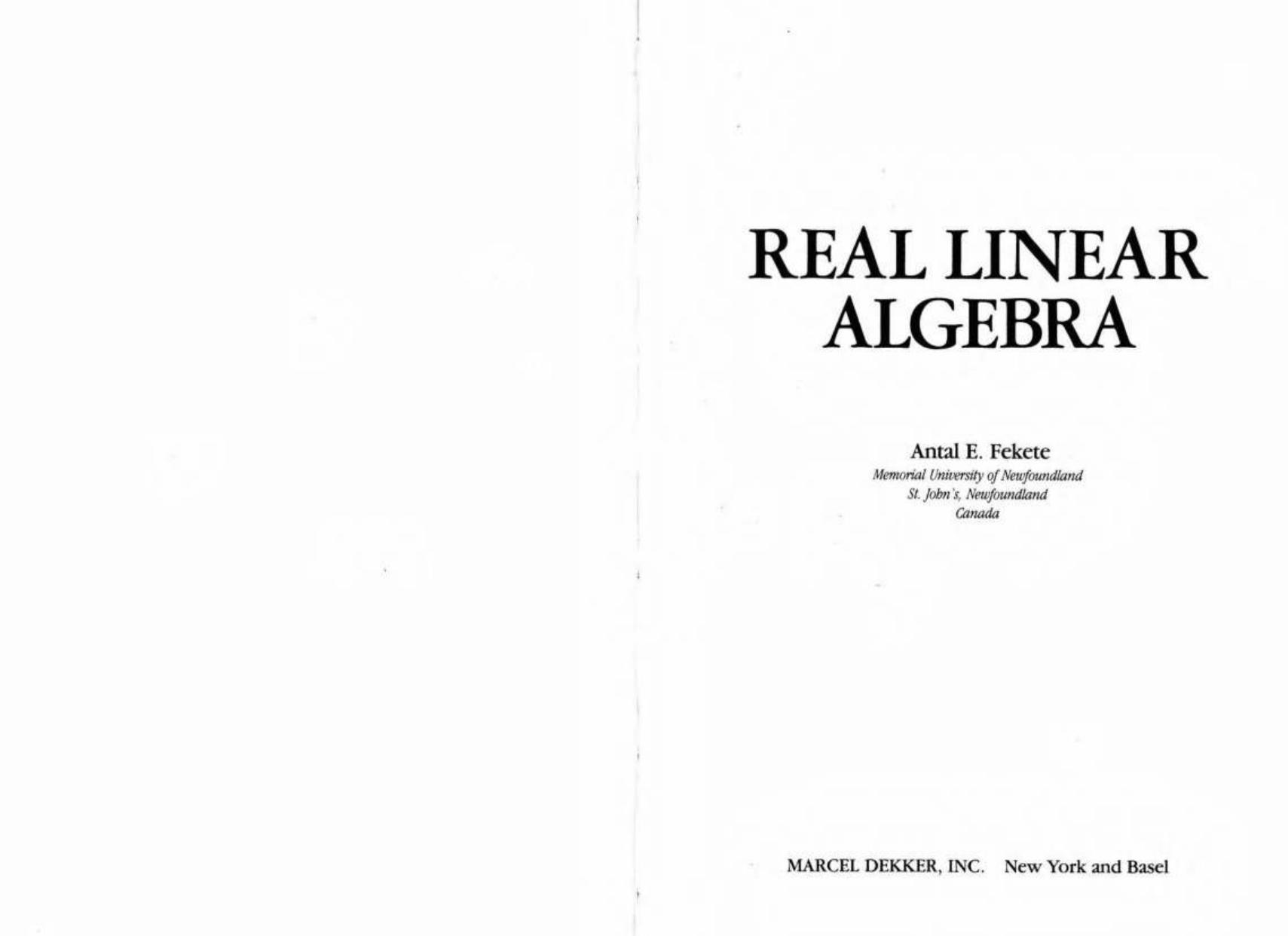 Real Linear Algebra by Antal Fekete