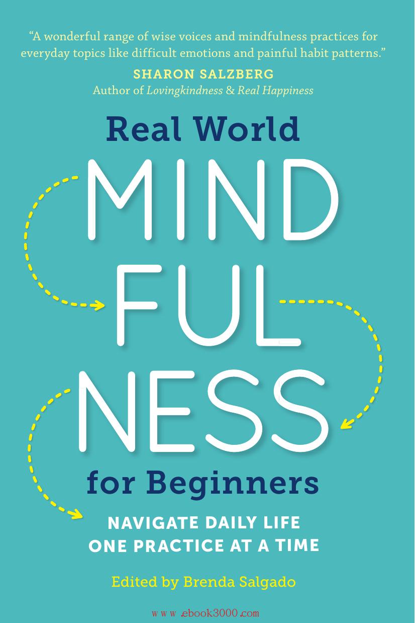 Real World Mindfulness for Beginners by Navigate Daily Life One Practice at a Time