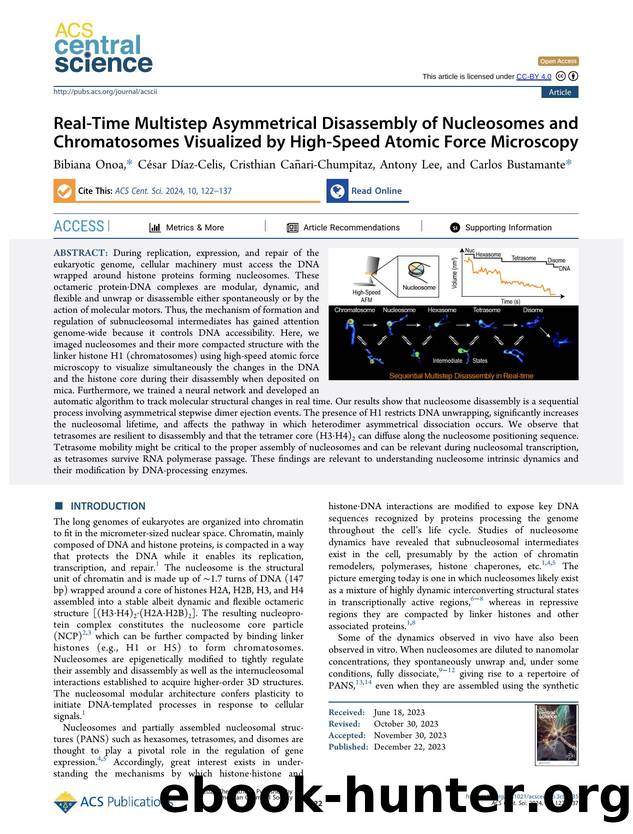 Real-Time Multistep Asymmetrical Disassembly of Nucleosomes and Chromatosomes Visualized by High-Speed Atomic Force Microscopy by unknow