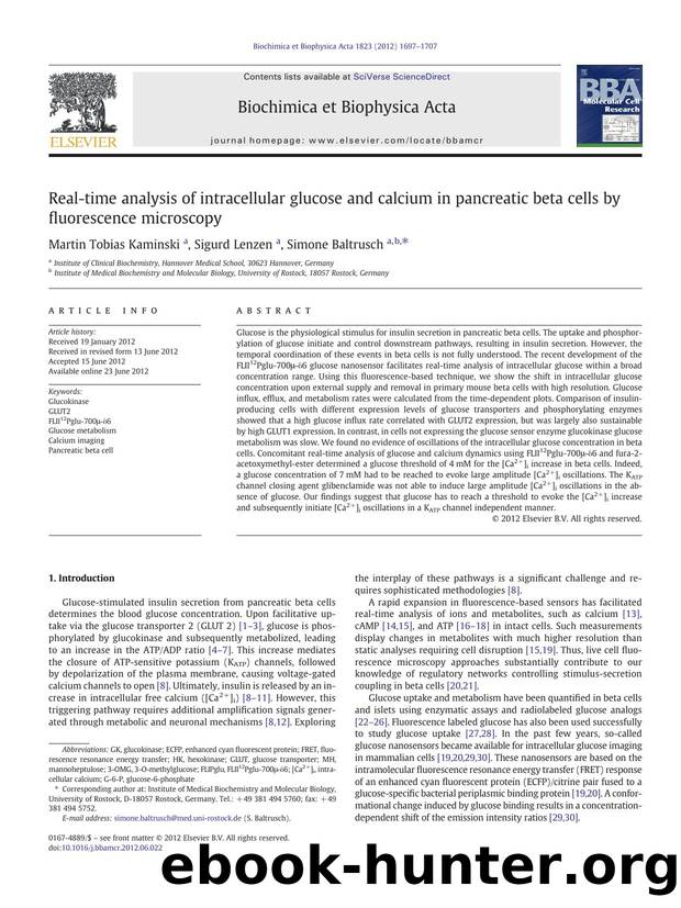 Real-time analysis of intracellular glucose and calcium in pancreatic beta cells by fluorescence microscopy by Martin Tobias Kaminski & Sigurd Lenzen & Simone Baltrusch