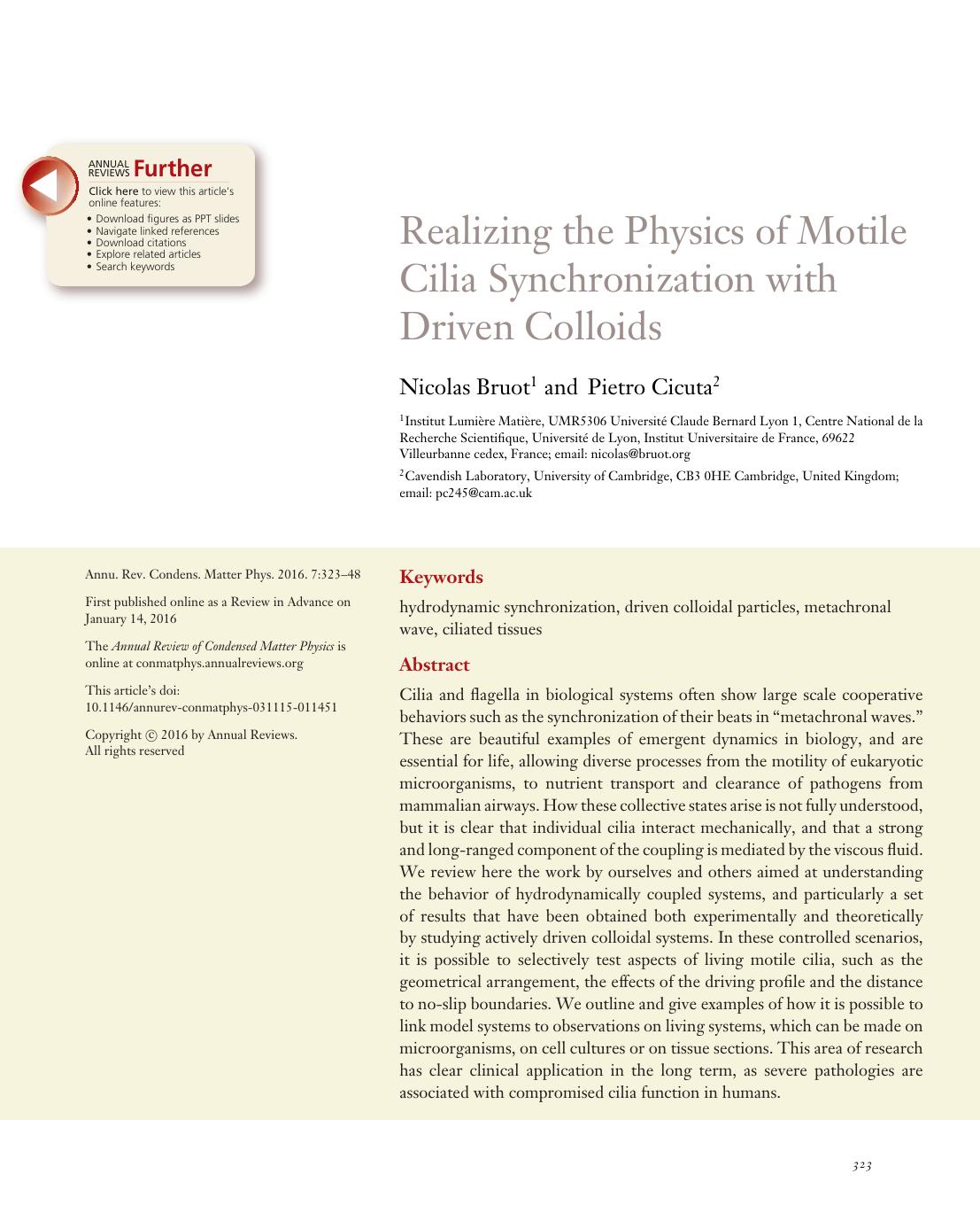 Realizing the Physics of Motile Cilia Synchronization with Driven Colloids by Nicolas Bruot and Pietro Cicuta